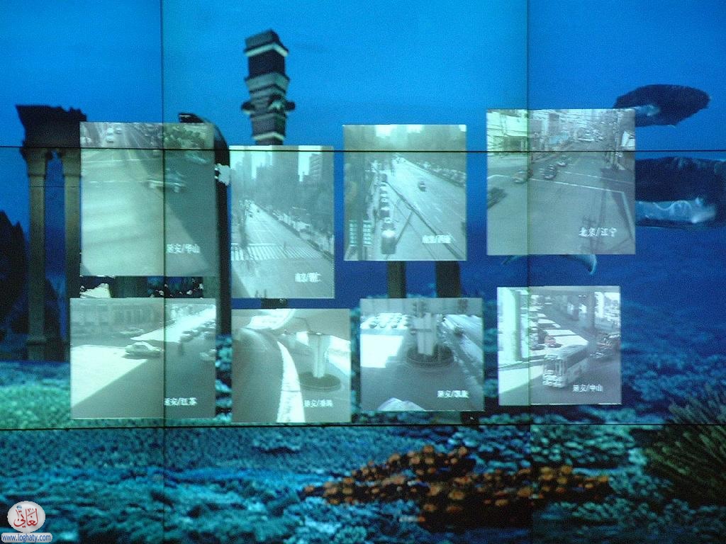 Shanghai Traffic Police